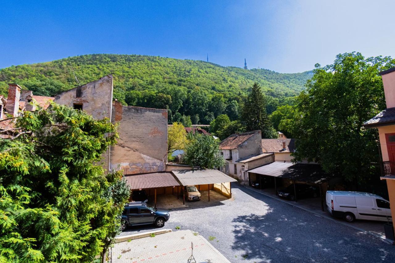Black Gate - Quiet Studio In The Heart Of Old Town With Free Private Secured Parking Braşov Dış mekan fotoğraf